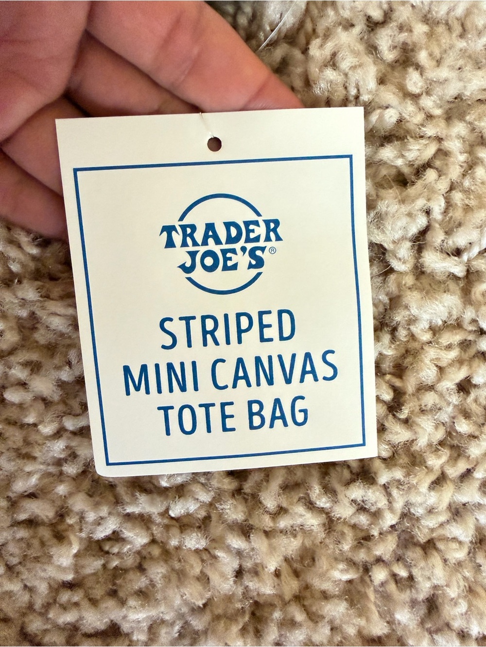 NWT Trader Joe's Mini Pastel Stripe Canvas Tote Bag Limited Edition - Picture 4 of 4